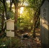 【名古屋市瑞穂区　敬老パスで行く小トリップ】「愛知」の県名由来!? 『万葉集』に詠まれた伝説の名水「あゆちの水」と古代ロマン散歩