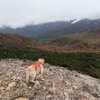 午後から山歩き…またまた那須😅