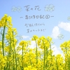 菜の花と革花制作日記②｜型紙作りから革のカットまで
