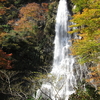 天滝　マイナスイオンと紅葉を求めて