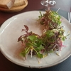 フランス料理のサラダ13選！冬も夏にも食べるサラダにはどんなものが？