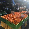 Sunday marketの破格な野菜たち