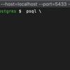 Dockerコンテナでpostgres