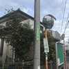 前原東