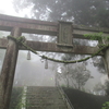 歴史と神社考察：神秘的な玉置神社の魅力