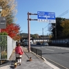 秋旅.京都_清水寺・建仁寺・鴨川