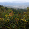 登山㉕_ふたたびの東根山（リベンジ）