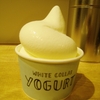 White Collar Yogurt　スイーツ図鑑００１　Sweets Logbook