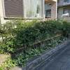 鳩山町の8月