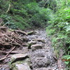 ８．１６．（土・晴れ）送り盆、高尾山。