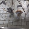 おはようございます！