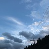 晩秋から初冬へ