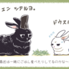 ナカヨシ🐇