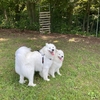 兄妹再会❣️