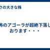 恐怖のアゴーラが超絶下落しております・・・