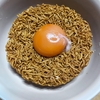チキンラーメン、久しぶりに食べたら美味しい