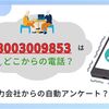 【会社名不明】08003009853の詳細情報。電力安心サポートの自動音声アンケート