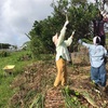 本日は晴天なり😁