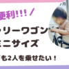 超便利！キャリーワゴンミニに子どもを乗せたい!!!