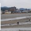 潮干狩り／三寒四温