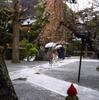 【鎌倉】鎌倉江の島七福神巡り  2  (本覚寺・夷尊神/恵比須様)