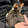 おかえり！父ちゃん！
