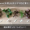 charm(水草)おまかせ5色紅葉セットは超お得だった！レビュー