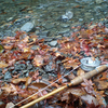平日・小雨・11月の七沢