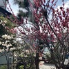 3月から始まる5月病