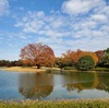 昭和記念公園の紅葉・Photo 