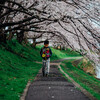 お気に入りの桜をＥマウントレンズで撮る～桜のトンネル編～