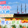 【道南ドライブ】最高の五月晴れ！木古内町・サラキ岬チューリップフェアで出会った花と歴史の絶景