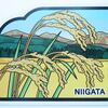 ▼　新潟県　第８弾-魚沼産コシヒカリ　▲