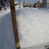 わざとか除雪車？