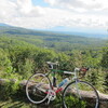 上田-千曲ﾋﾞｭｰﾗｲﾝ-佐久-麦草峠-すずらん峠-白樺湖-上田 (226km)