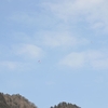 はれ