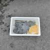 第3回わかさぎ卵放流実施