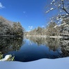 冬の軽井沢へ「雪の雲場池」