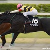 1/2 (木) 川崎、帯広競馬予想