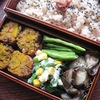 Vol.298-かぼちゃのカレーコロッケ弁当