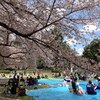  砧公園と世田谷美術館