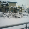 雨のち雪〜〜〜！