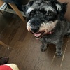 お盆休み特集　ふくすけ前面　おやつは　なんでしょう？No,４だよ