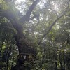 悪態をついていいし、地団駄踏んでいい。