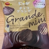 ブルボン『じゃがチョコ グランデ ミニ』を食べてみた！