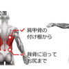 チンニング（懸垂）マシン稼働