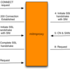 mitmproxyでHTTPSプロキシする時、どんな通信が発生しているのか追ってみる