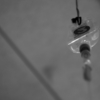 monochrome photography #103