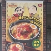 灼熱の焼きハンバーグカレー / すき家