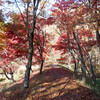 日記「タカドヤ湿地の紅葉」＠愛知豊田